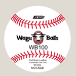 WB100 PRIME - Flat Seam High School Game Ball- Don