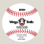 WB30B - Flat Seam Recreation Game Ball- Don